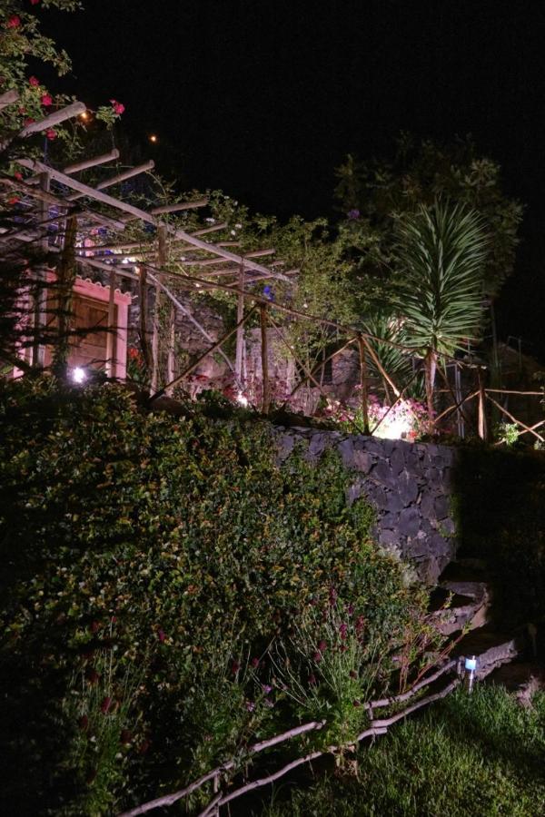 Villa Ga281 Funchal  Exterior foto